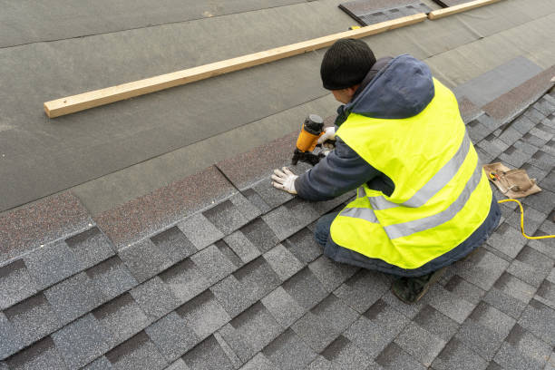 Best Asphalt Shingles Roofing  in Eustis, FL