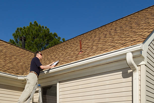 Best Roof Moss and Algae Removal  in Eustis, FL